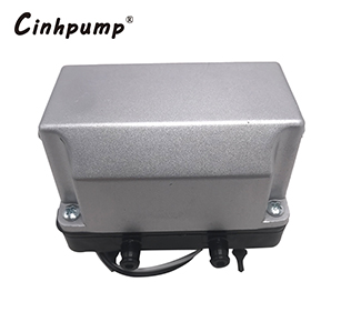 How the Cinhpump@ air pump works
